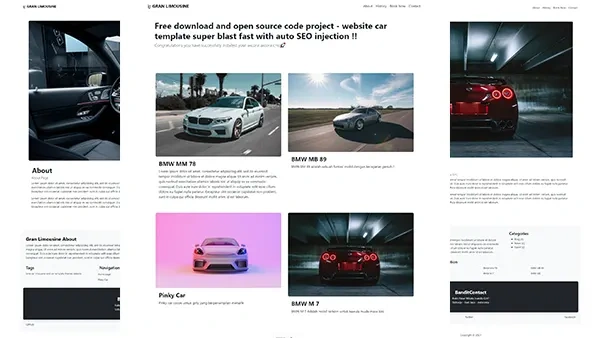 Cario Car Website